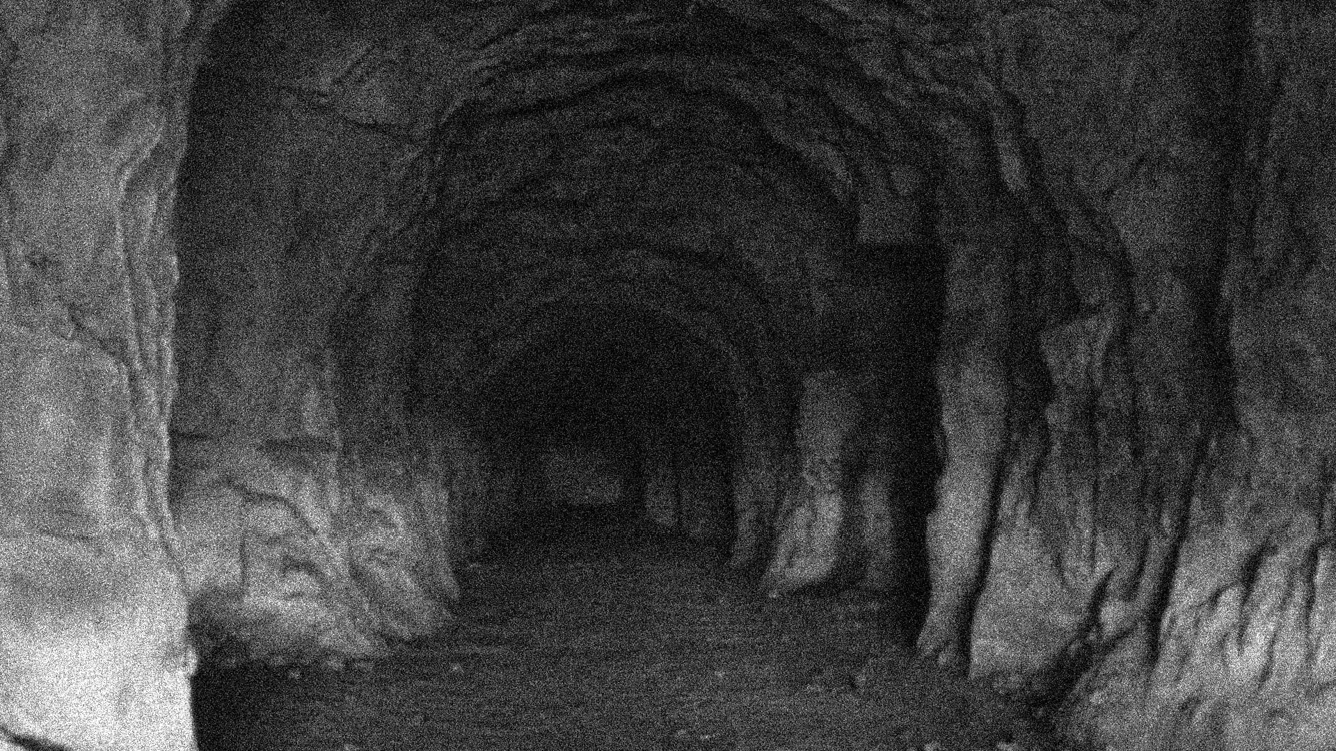 Каталог игр